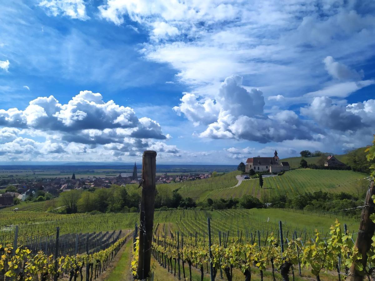 Le P'Tit Coin De Chez Nous Villa Dambach Buitenkant foto