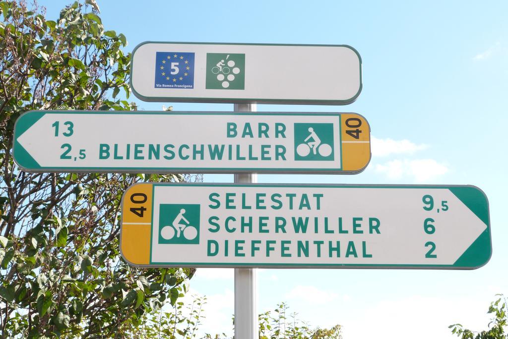 Le P'Tit Coin De Chez Nous Villa Dambach Buitenkant foto