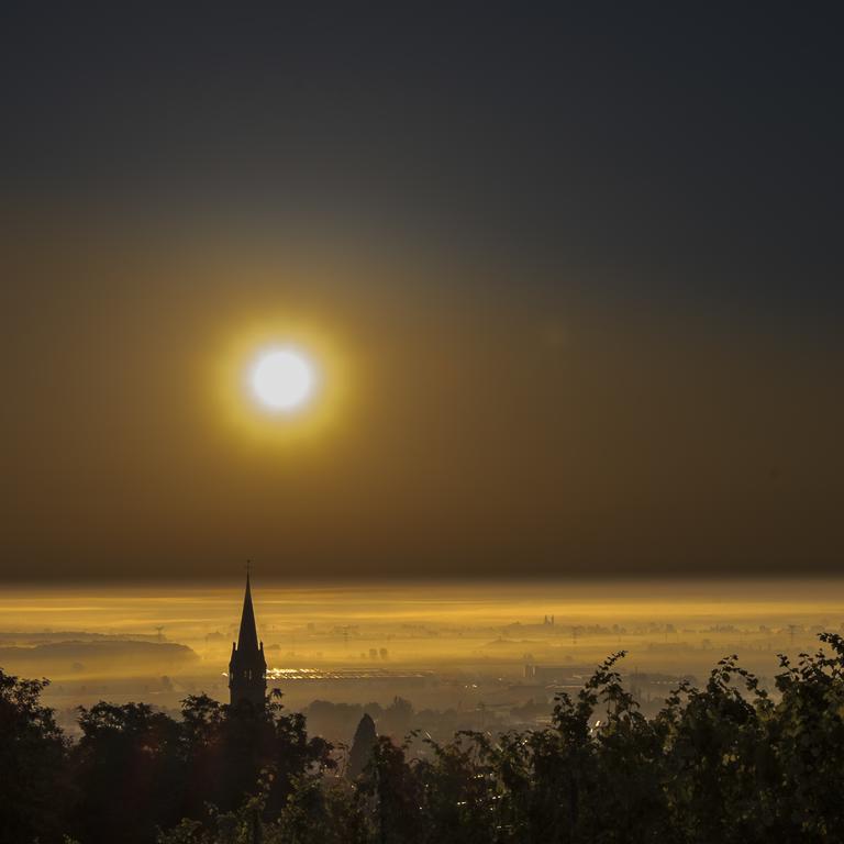 Le P'Tit Coin De Chez Nous Villa Dambach Buitenkant foto