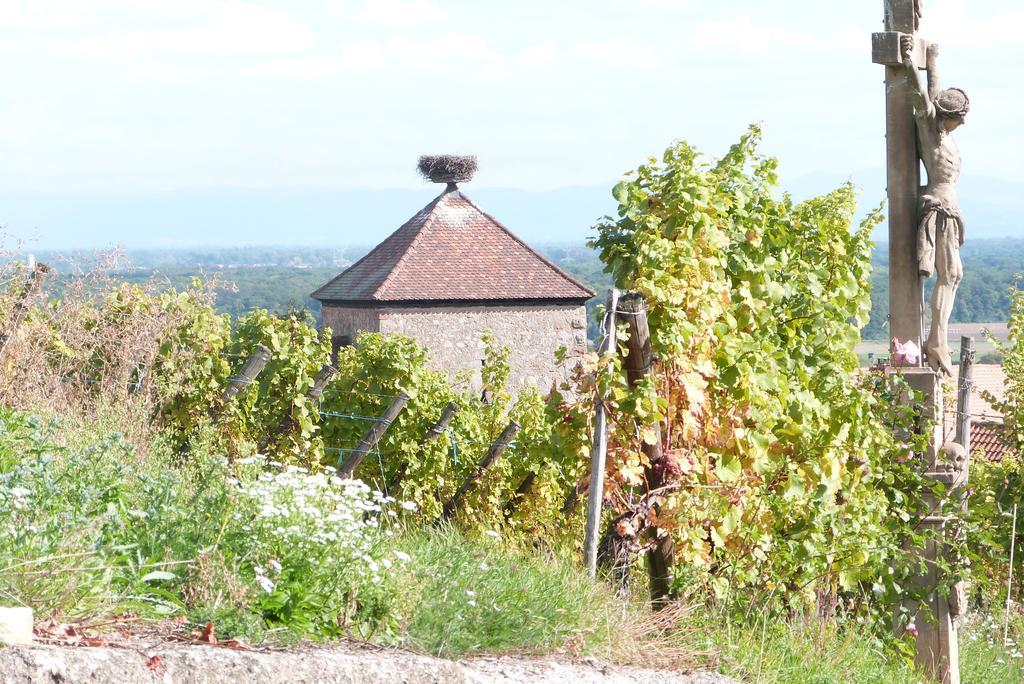 Le P'Tit Coin De Chez Nous Villa Dambach Buitenkant foto
